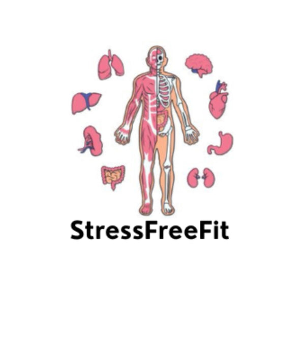 stressfreefitguida